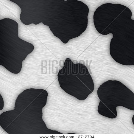 Dairy Cow Print