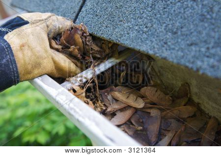 Fall Cleanup - Leaves In Gutter