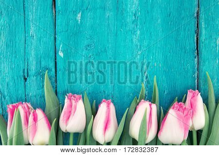 Frame Of Tulips On Turquoise Rustic Wooden Background. Spring Flowers. Spring Background. Greeting C