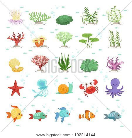 Marine animals, fishes collection and underwater plants. Aqua wild fauna. Vector illustration. Fish and fauna underwater, nature octopus and sea snail