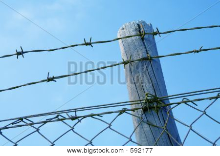 Barbed Wire Fence