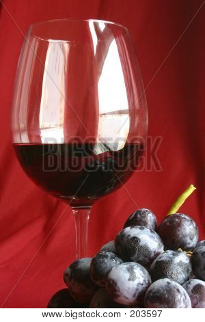 Wine And Grapes