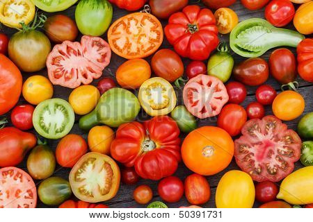 colorful tomatoes