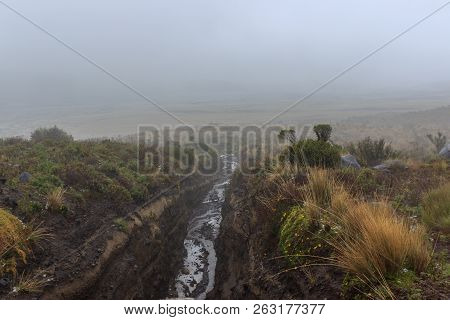 View On The Strato Vulcano Cotopaxi, Ecuador