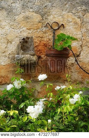 Flowers Pots Hang Old Textured Wall. Garden Decision. Landscape Idea. Vertical Photo