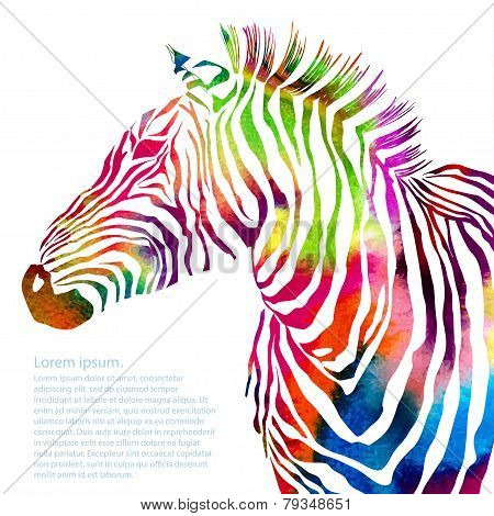 Animal illustration of watercolor zebra silhouette