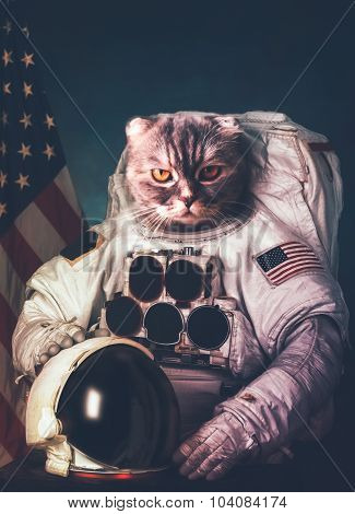 Beautiful cat astronaut. Elements of this image furnished by NAS