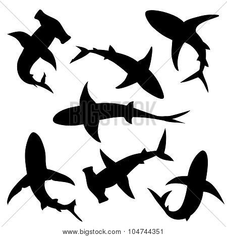 Shark vector silhouettes