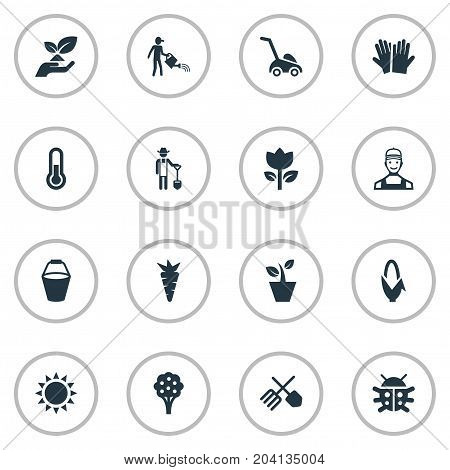 Elements Temperature, Root, Horticulture Equipment And Other Synonyms Insect, Shine And Handle.  Vector Illustration Set Of Simple Horticulture Icons.