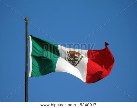 Flag Of Mexico