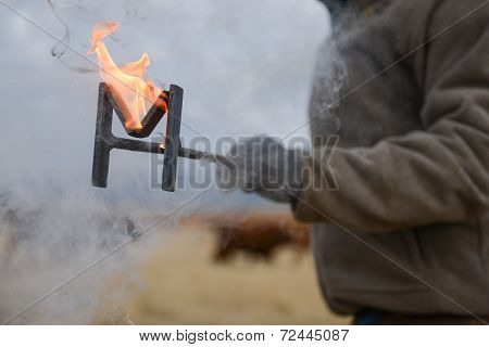 Burning Brand