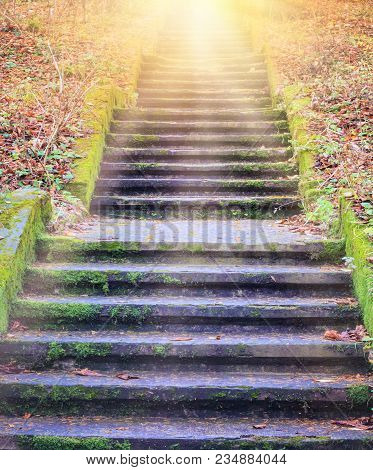 Way To God .  Bright Light From Heaven .  Religious Background  . Sunlight In The Green Forest .  Do