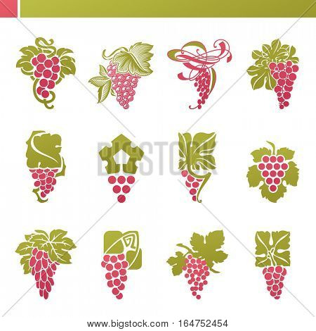 Red grape with green leaf. Vector elements for design.