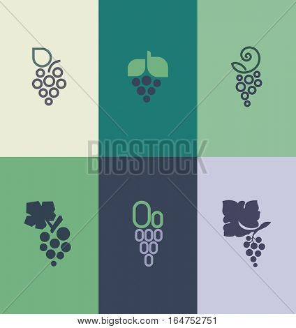 Grape with leaf. Vector elements for design