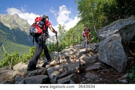 Nordic Walking