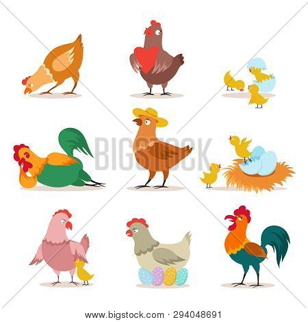 Chicken Set. Farm Chick, Hen And Rooster In Various Poses. Happy Christmas Chicken. Funny Domestic B