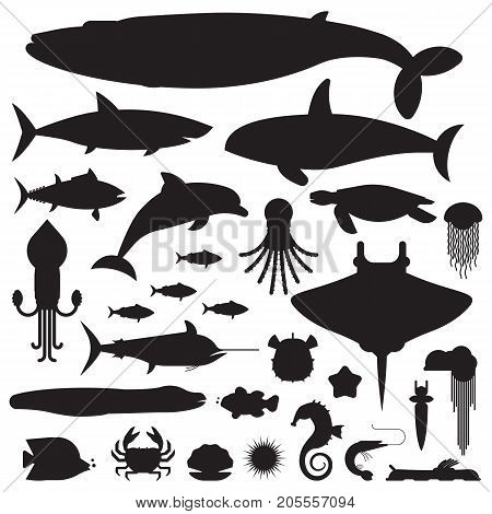 Underwater animals and sea creatures logo or label templates. Ocean and marine fishes and other aquatic life silhouette collection. Blue whale, devilfish, dolphin, orca, octopus, mollusks icons.