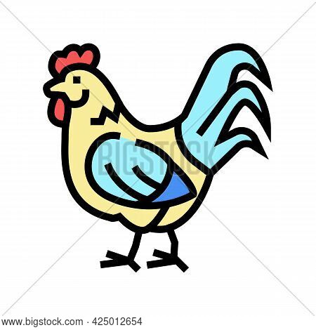 Cock Domestic Bird Color Icon Vector. Cock Domestic Bird Sign. Isolated Symbol Illustration