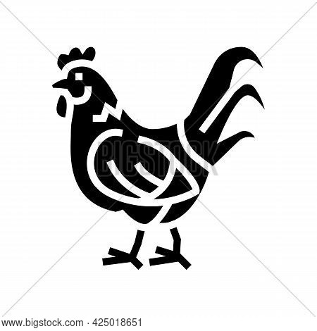 Cock Domestic Bird Glyph Icon Vector. Cock Domestic Bird Sign. Isolated Contour Symbol Black Illustr