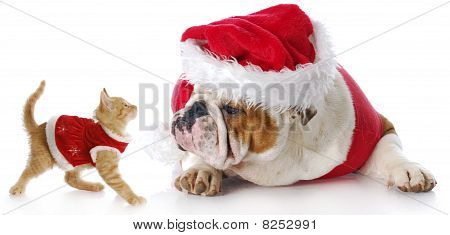 Christmas Cat And Dog