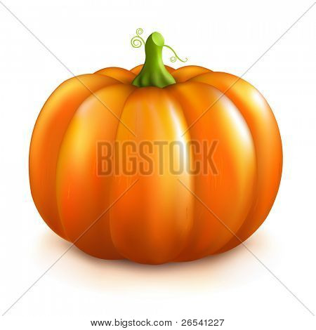 Pumpkin, Isolated On White Background, Vector Illustration