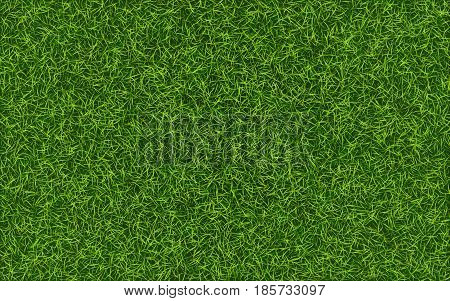 Grass background. Fresh lawn grass texture. Perfect green grass carpet. Grass backdrop for your design