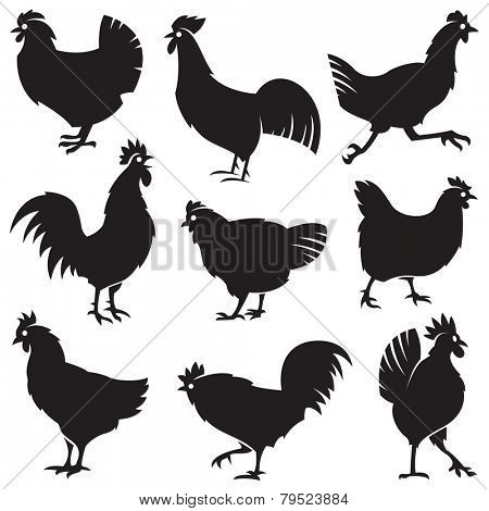 monochrome set of different silhouettes of chickens