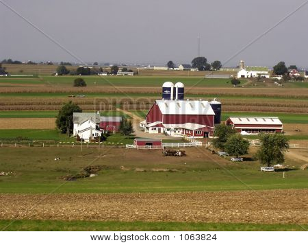 Dairy Farm