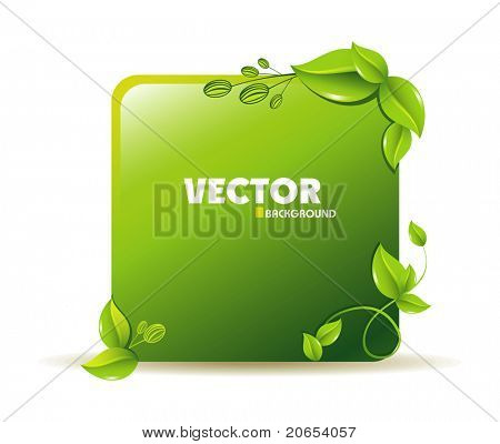 vector eco design