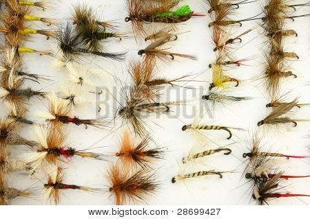 Trout Flies