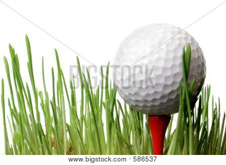 Golf Ball Bin Grass