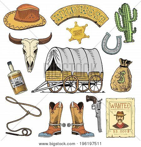 Wild west, rodeo show, cowboy or indians with lasso. hat and gun, cactus with sheriff star and bison, boot with horseshoe and wanted poster. engraved hand drawn in old sketch or and vintage style