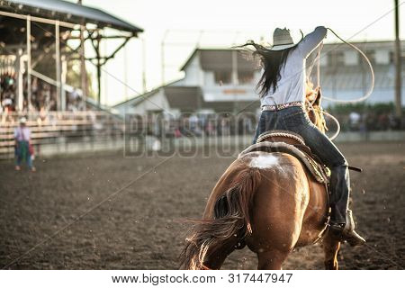 Rodeo Calf Roping Rider Competeing Western Event in Dirt Arena Close Up Back