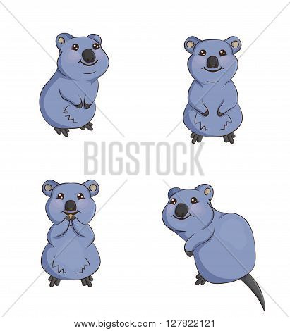 A set of cute cartoon smiling quokka animals in various poses, sitting, eating, front and back. Decorations for parties and design elements.