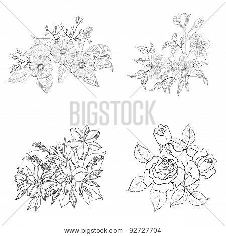 Cultivated flowers, outline, set