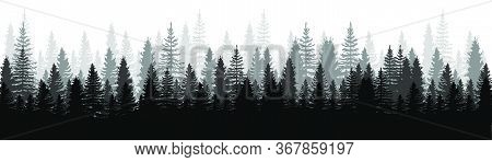 Forest Panorama View. Pines. Spruce Nature Landscape. Forest Background. Set Of Pine, Spruce And Chr