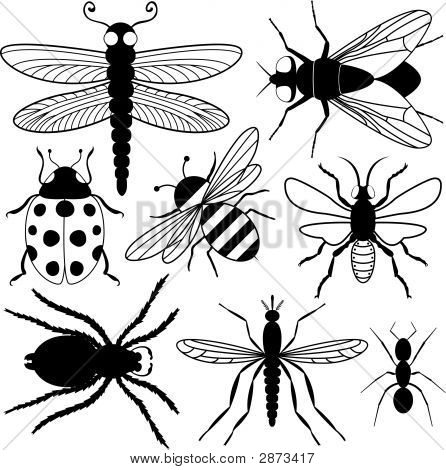 Eight Insect Silhouettes