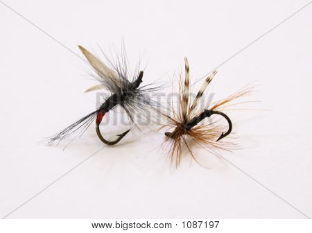 Fishing Flies