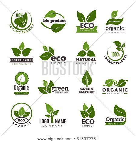 Leaf Logo. Bio Nature Green Eco Vector Symbols Business Logo Template. Illustration Of Bio Eco Green