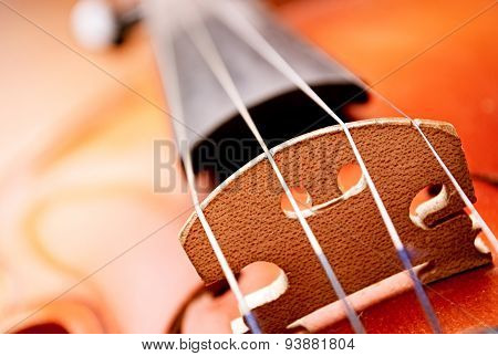 Close Up Of Violin Bridge And Strings