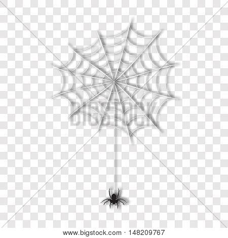 Realistic spider on web, vector illustration. Halloween elements, details. Scary natural vector spider hanging, silhouette. Spider vector on white. Spider web, Halloween party attribute.