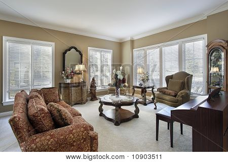 Living Room In Traditional Home