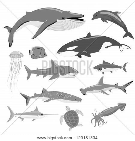 Marine fauna set of aquatic animals. Aquatic fauna, ocean or sea fish wildlife fauna, underwater aquarium exotic life fauna, dolphin water wild vector illustration isolated on white