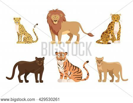 Big Cats Of Africa And North America Vector Illustrations Set. Cartoon Tiger, African Lion, Cheetah,