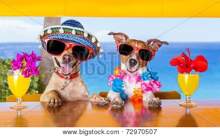 Cocktail Dogs