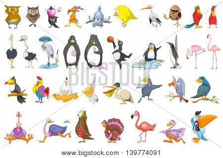 Set of various colourful birds. Collection of different species of birds playing basketball, baseball, reading book, sitting on eggs, eating sweets. Vector illustration isolated on white background.