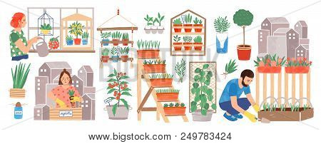 Urban Gardening Collection. People Living In City Cultivating Plants, Growing Crops Or Vegetables In