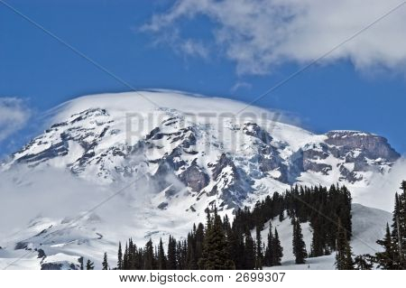 Mt. Rainier