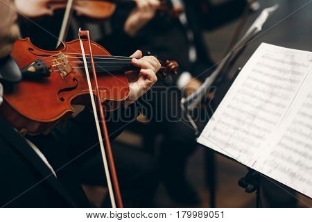 Elegant String Quartet Performing At Wedding Reception In Restaurant, Handsome Man In Suits Playing