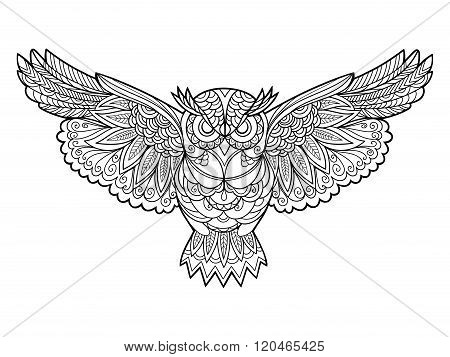 Owl coloring book for adults vector